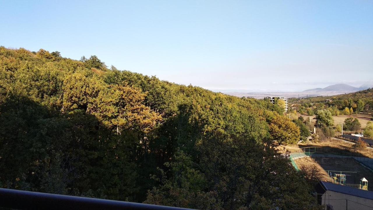 Hillside Apartment Cahkadzor Kültér fotó